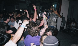 激情图片小说视频,图文视频交织的情感火花